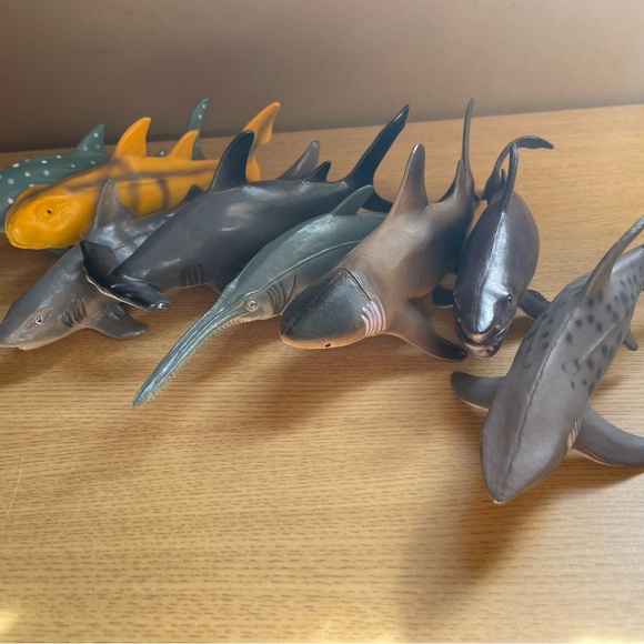 Shark lot - Picture 2 of 5